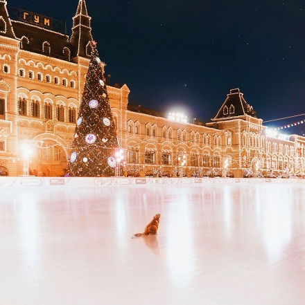 镜头下的莫斯科圣诞雪夜，宛如童话世界(1)