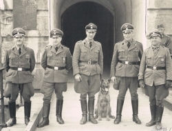二战德军军官们和他们的宠物，不过最令他们忌惮的是苏联反坦克犬