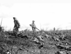 二战中，美国大兵和日本兵交战的真实历史照片