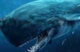 远古十大凶兽：巨兽梅尔维尔鲸体长约为60英尺